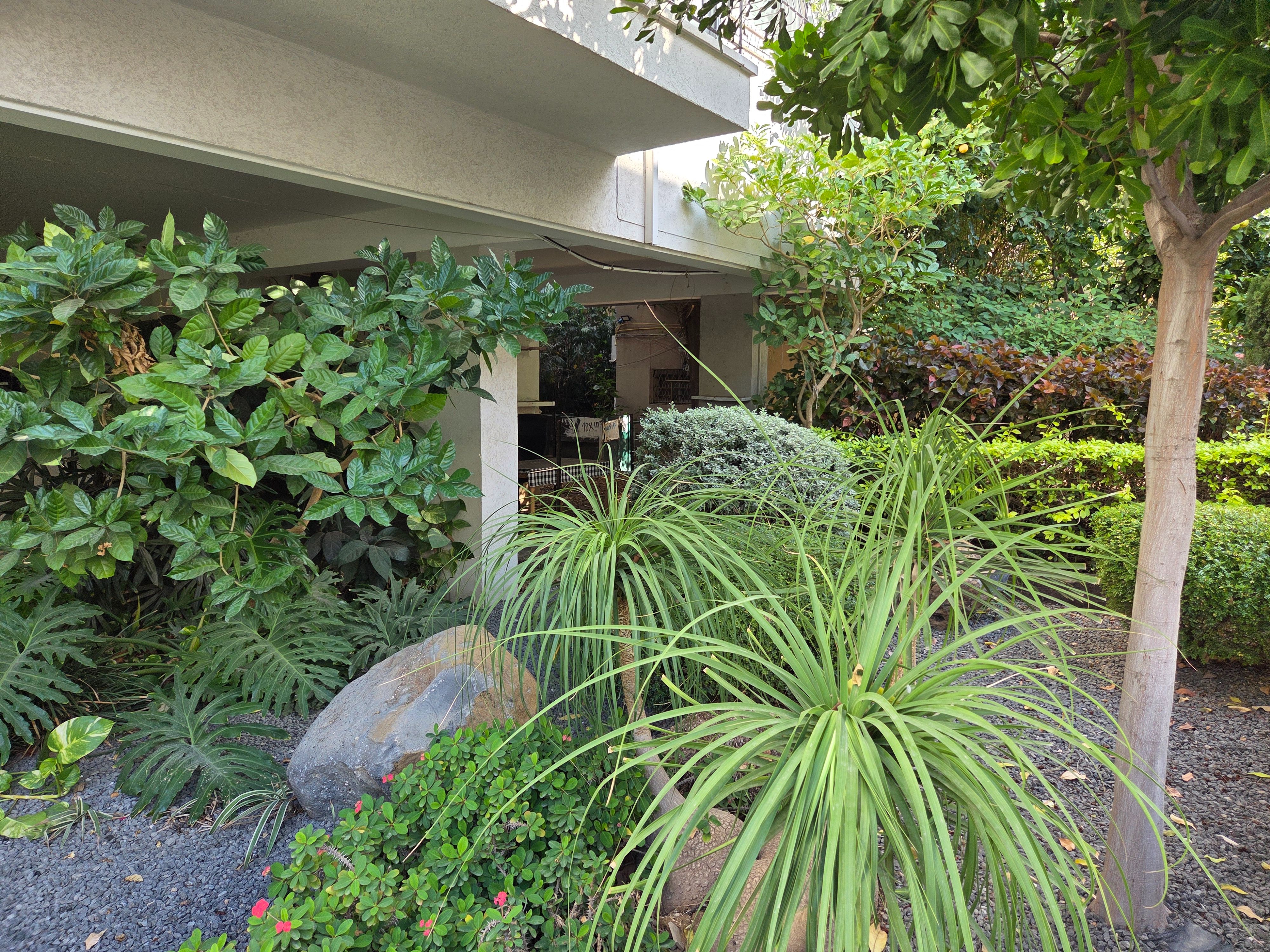 מהסמארטפון שלי